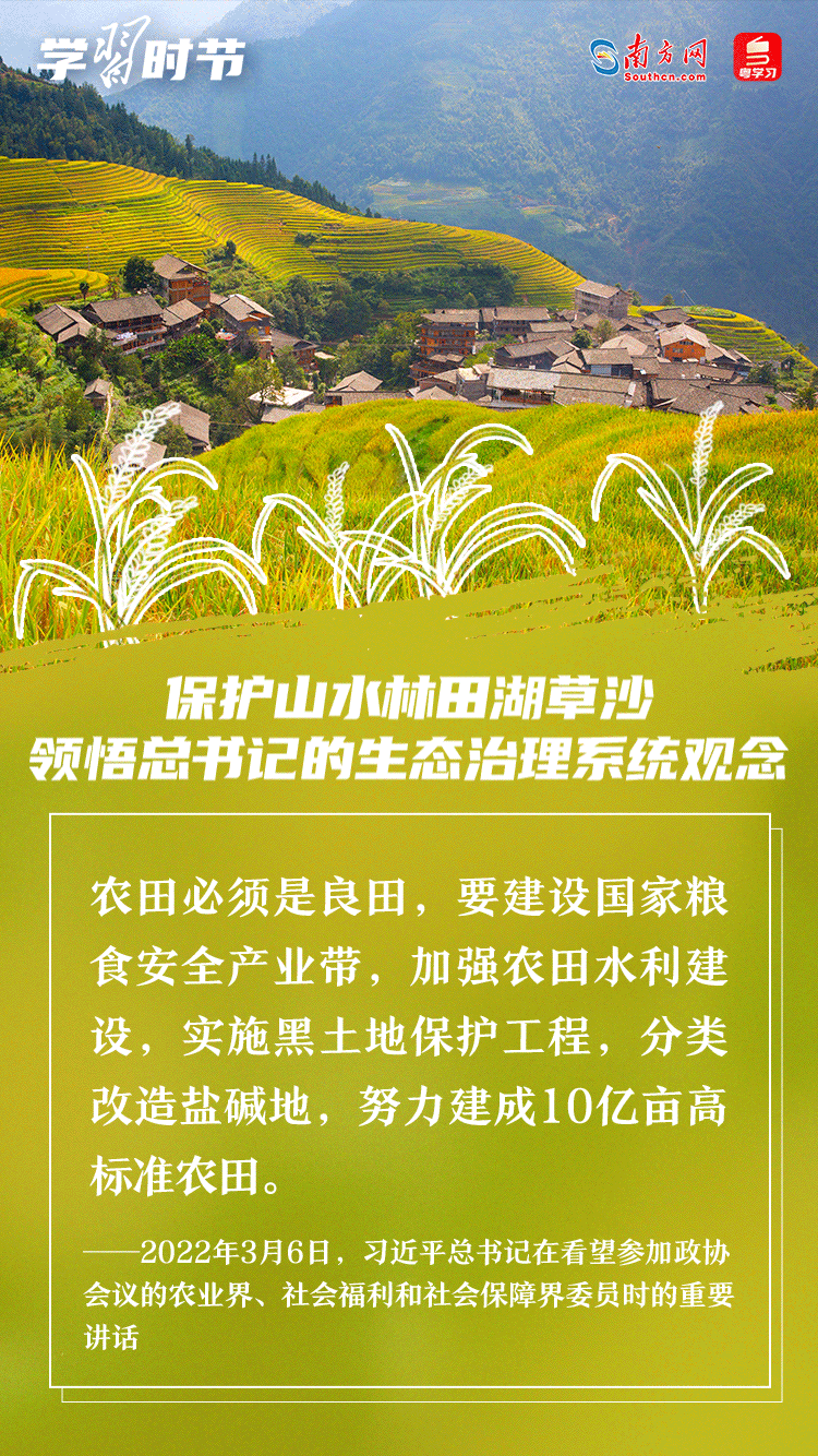 学习时节｜保护山水林田湖草沙 领悟总书记的生态治理系统观念