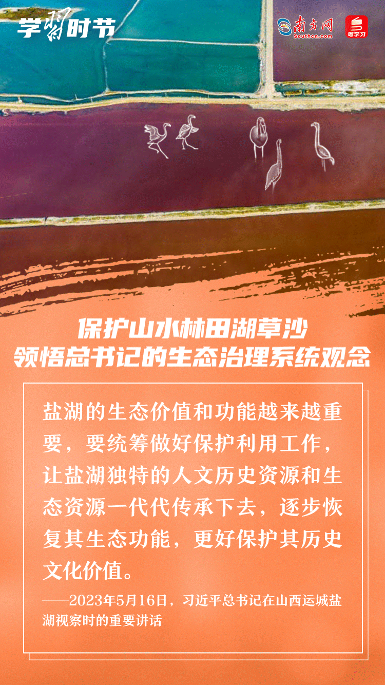 学习时节｜保护山水林田湖草沙 领悟总书记的生态治理系统观念