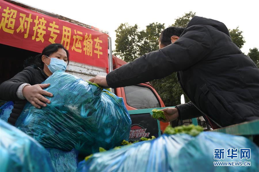 （聚焦疫情防控）（18）各地多措并举 筑牢抗疫防线