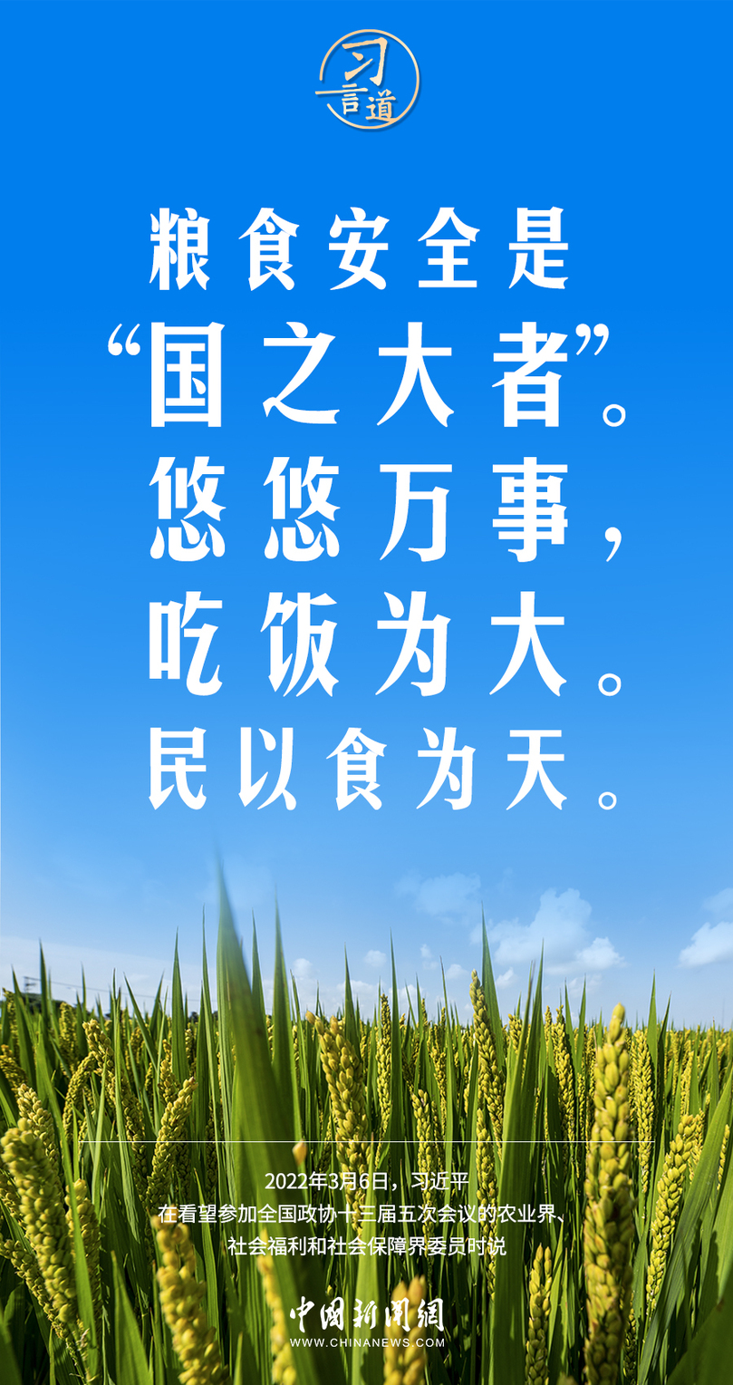 习言道｜粮食安全是“国之大者”
