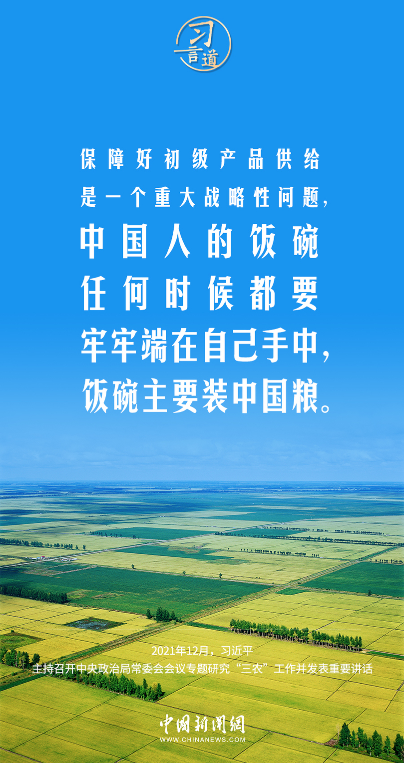 习言道｜粮食安全是“国之大者”