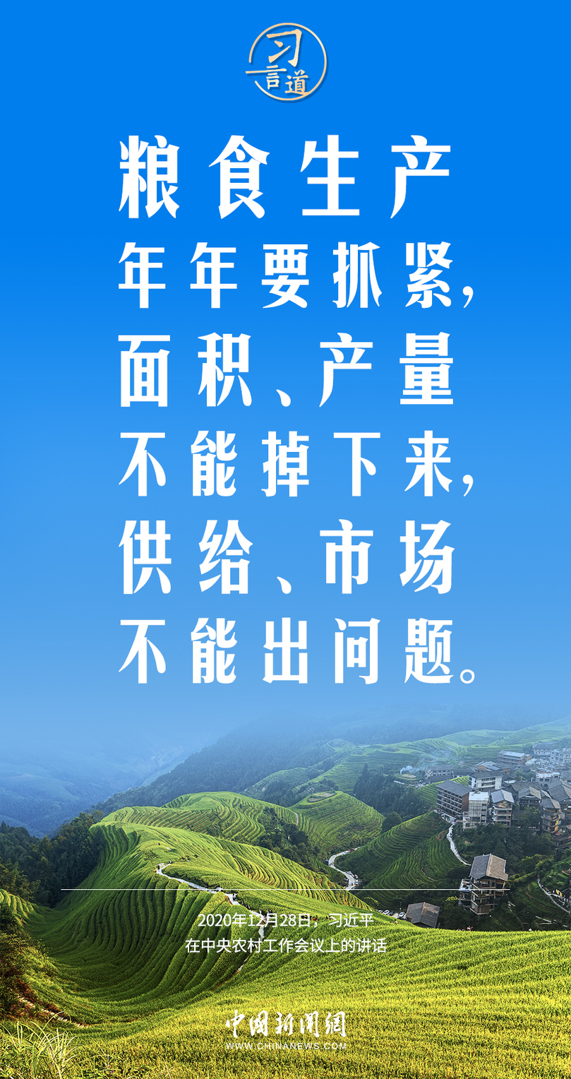 习言道｜粮食安全是“国之大者”