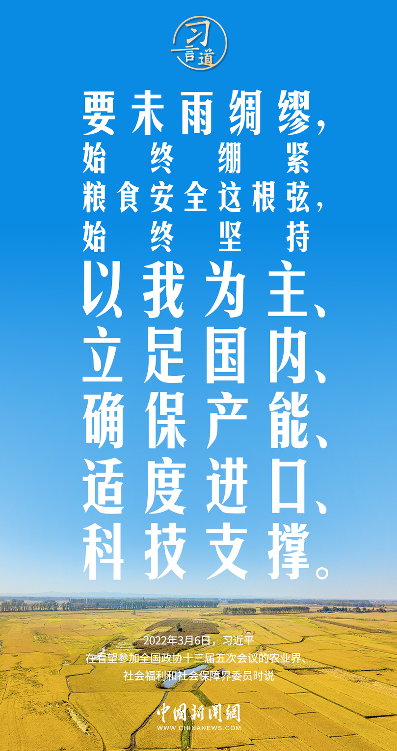 习言道｜粮食安全是“国之大者”