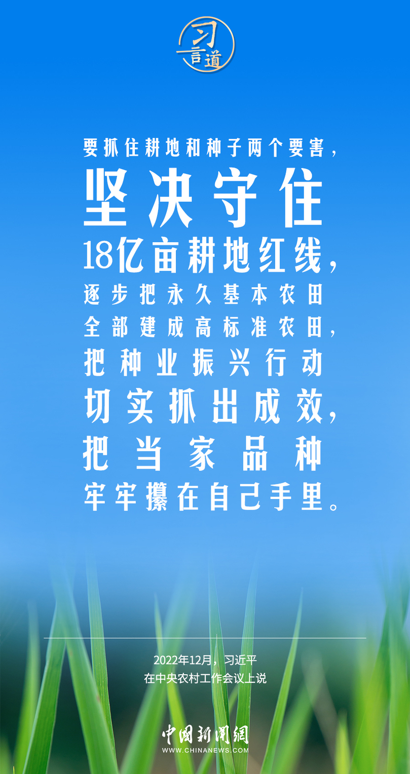 习言道｜粮食安全是“国之大者”