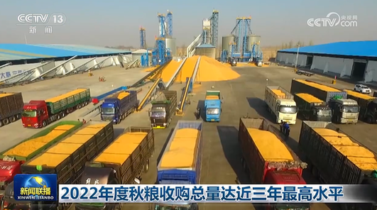 2022年度秋粮收购总量达近三年最高水平