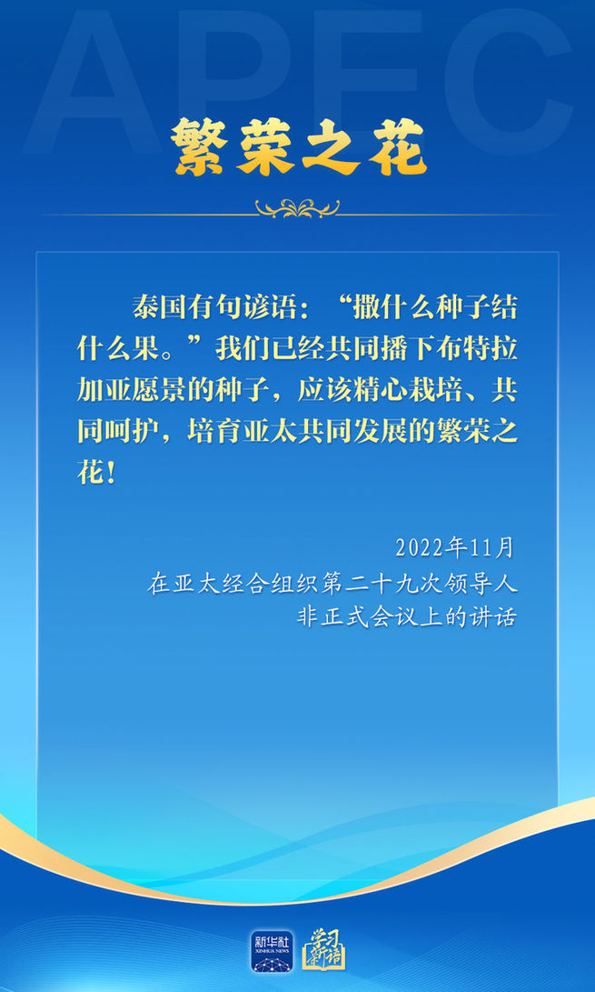 推动亚太合作,习近平主席生动阐释
